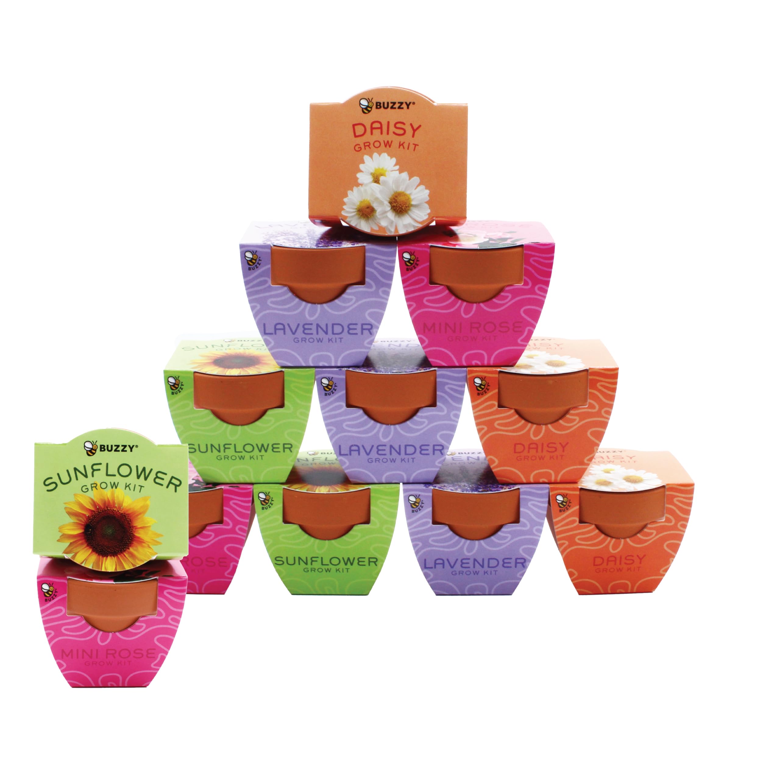 Amazon.com : Buzzy Seeds Bright Series Grow Kit, Assorted 12-Pack